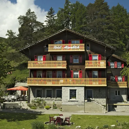 Alpenblick Zeneggen