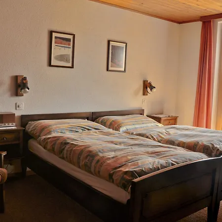 Hotel Alpenblick 3*