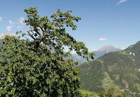 Alpenblick 3* Zeneggen