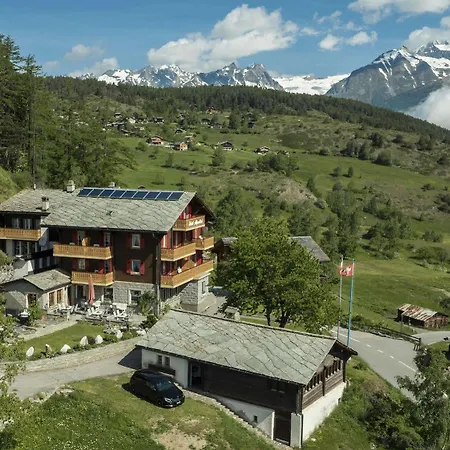 Alpenblick Zeneggen