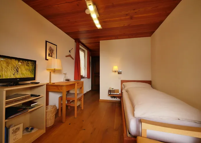 Alpenblick Hotel Zeneggen