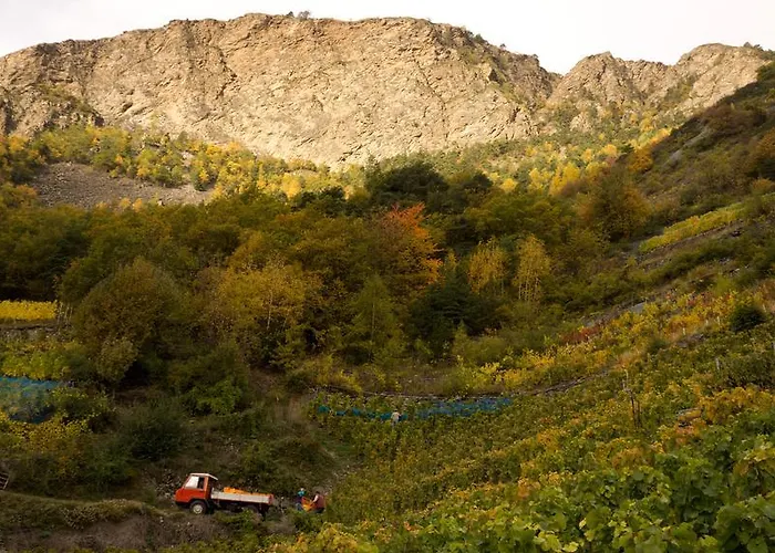 Hotel Alpenblick Zeneggen