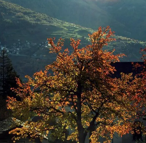 Hotel Alpenblick Zeneggen