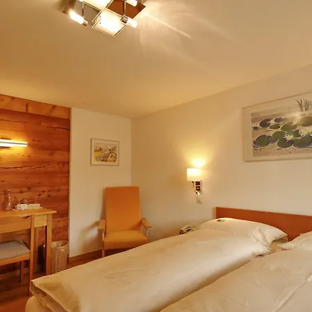 Alpenblick Hotel Zeneggen