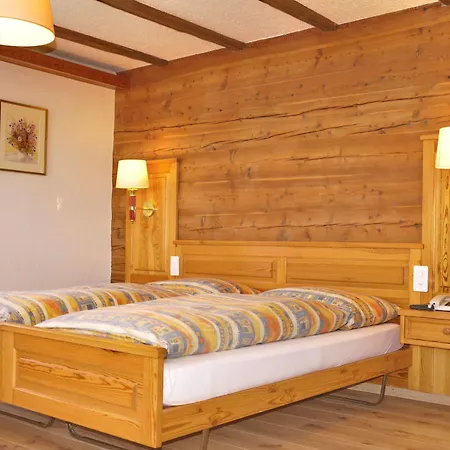 Alpenblick Hotel 3*