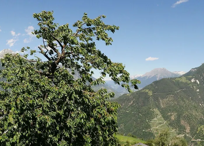 Hotel Alpenblick 3*