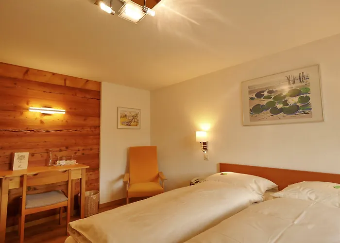 Alpenblick Hotel Zeneggen