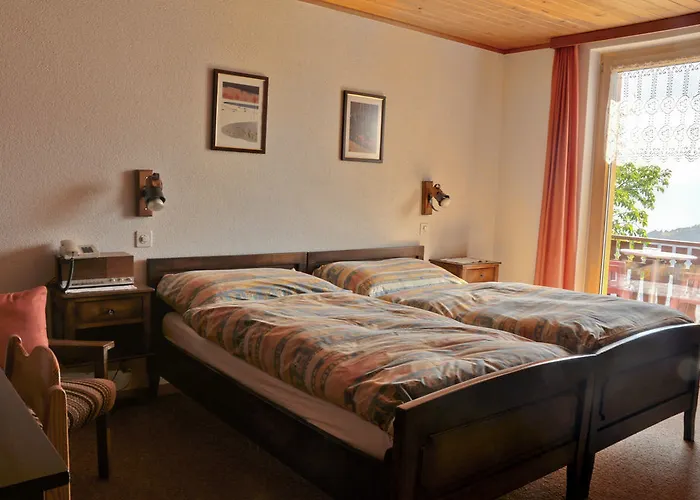Hotel Alpenblick 3*