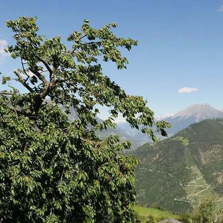 מלון Alpenblick 3*