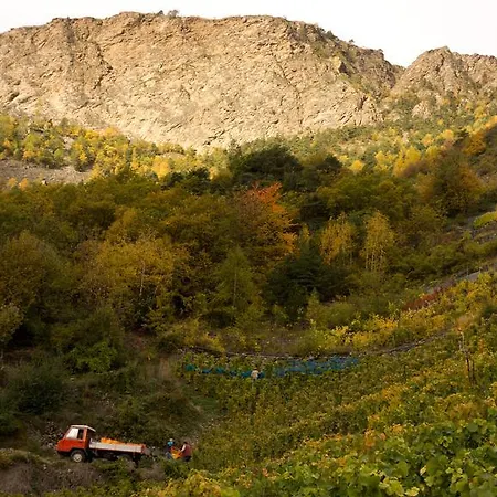 מלון Alpenblick Zeneggen