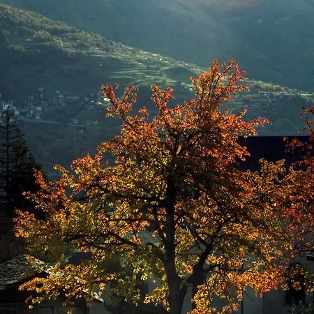 מלון Alpenblick Zeneggen