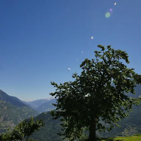 Alpenblick מלון