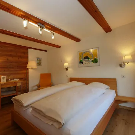 Hotel Alpenblick 3*